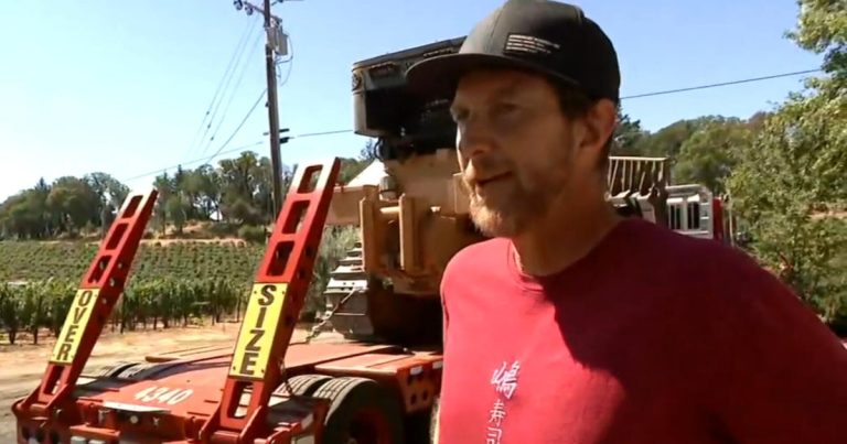 Napa winemaker fears new wildfire after smoke from last blaze tainted grapes
