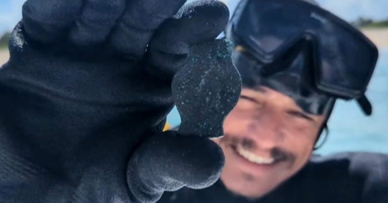 Treasure hunters find $1 million in gold and silver coins in shipwreck off Florida