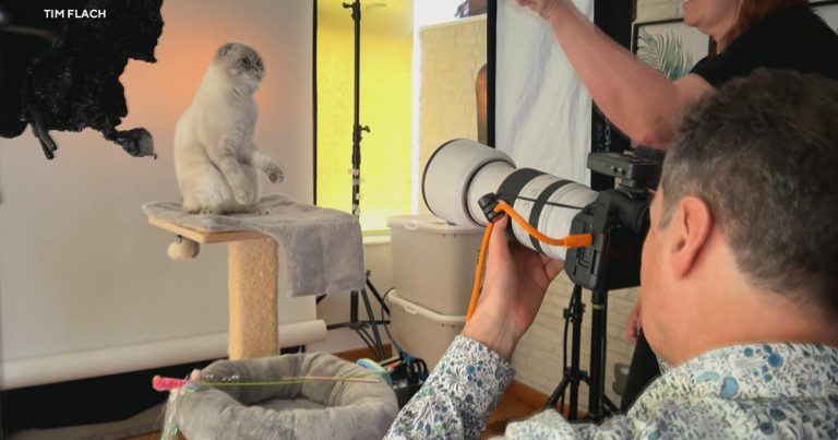 How a wildlife photographer found one of his biggest challenges with house cats