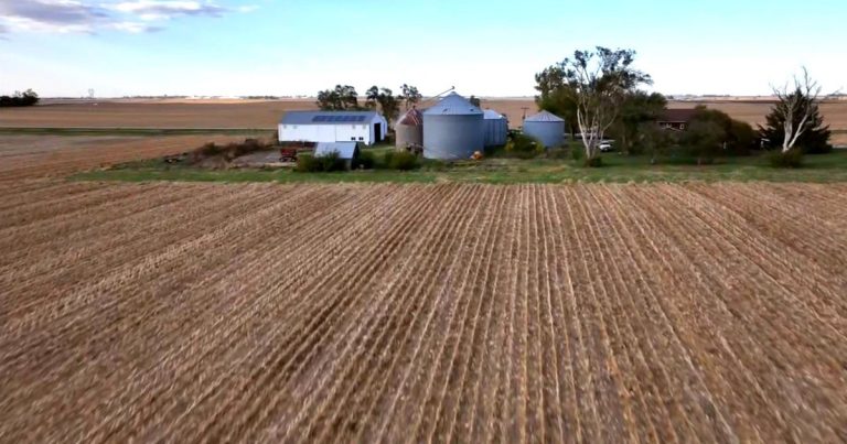 Farmers feel strain amid Trump’s trade war: “It’s very discouraging”