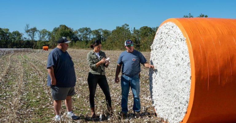 Losing the farm is a real fear for American farmers facing severe financial hardship